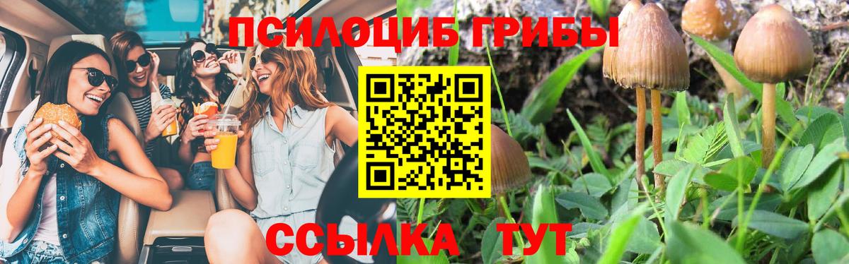 Псилоцибиновые грибы прущие грибы Еманжелинск